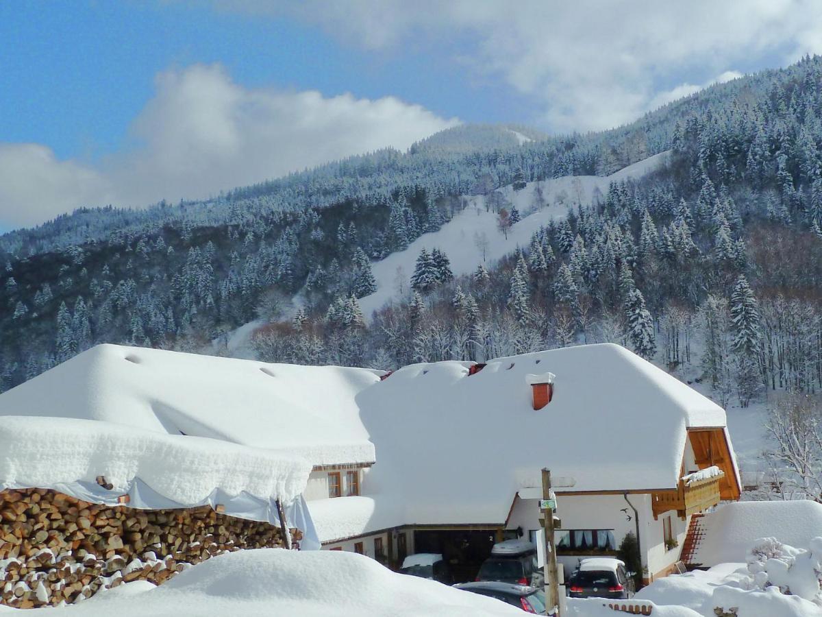 Apartment In Brandenberg With Terrace Todtnau