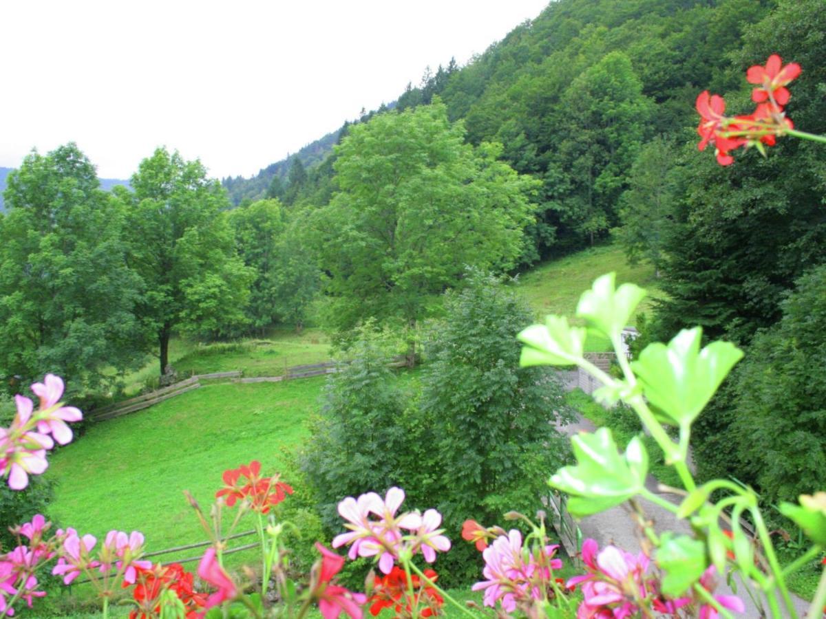 In Brandenberg With Terrace Todtnau