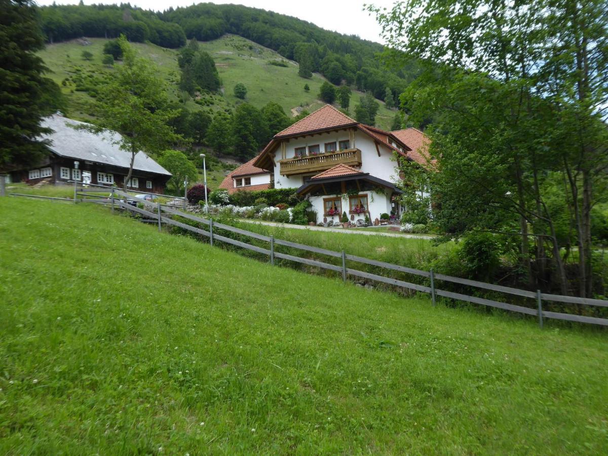 In Brandenberg With Terrace Todtnau