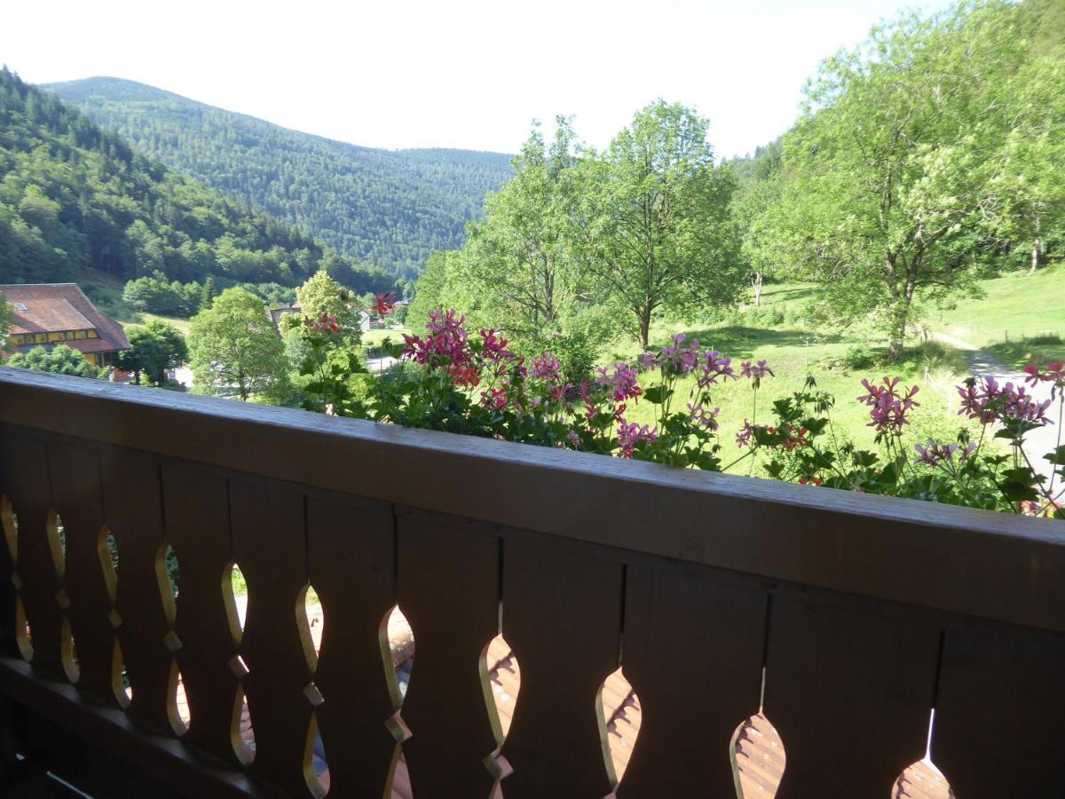 In Brandenberg With Terrace *