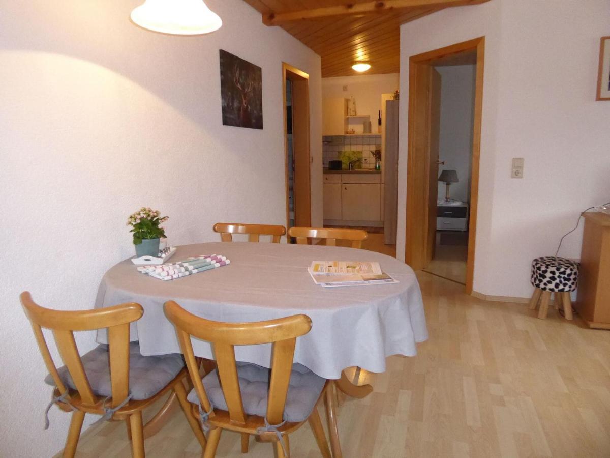 In Brandenberg With Terrace Apartment Todtnau