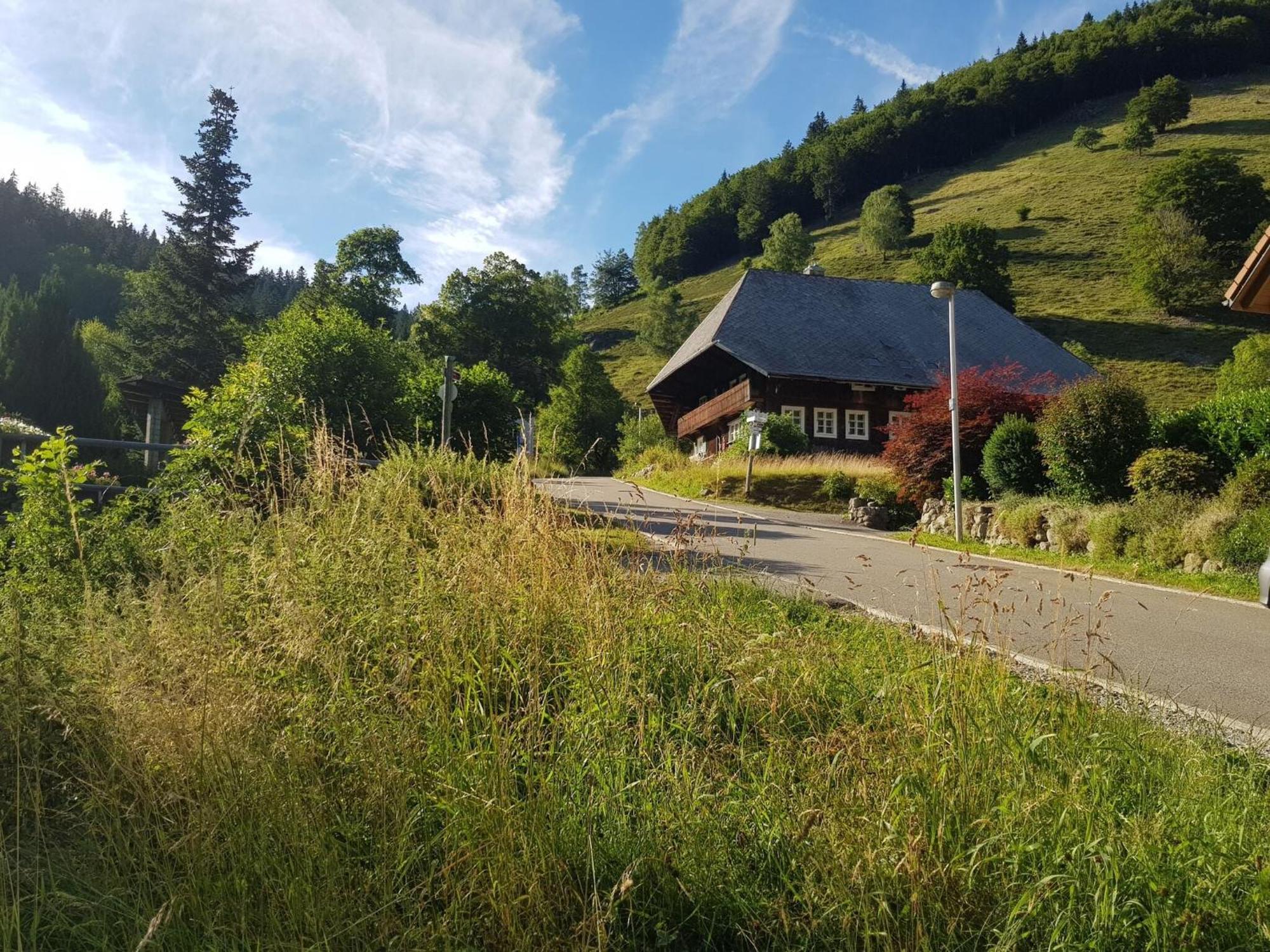 In Brandenberg With Terrace Apartment *