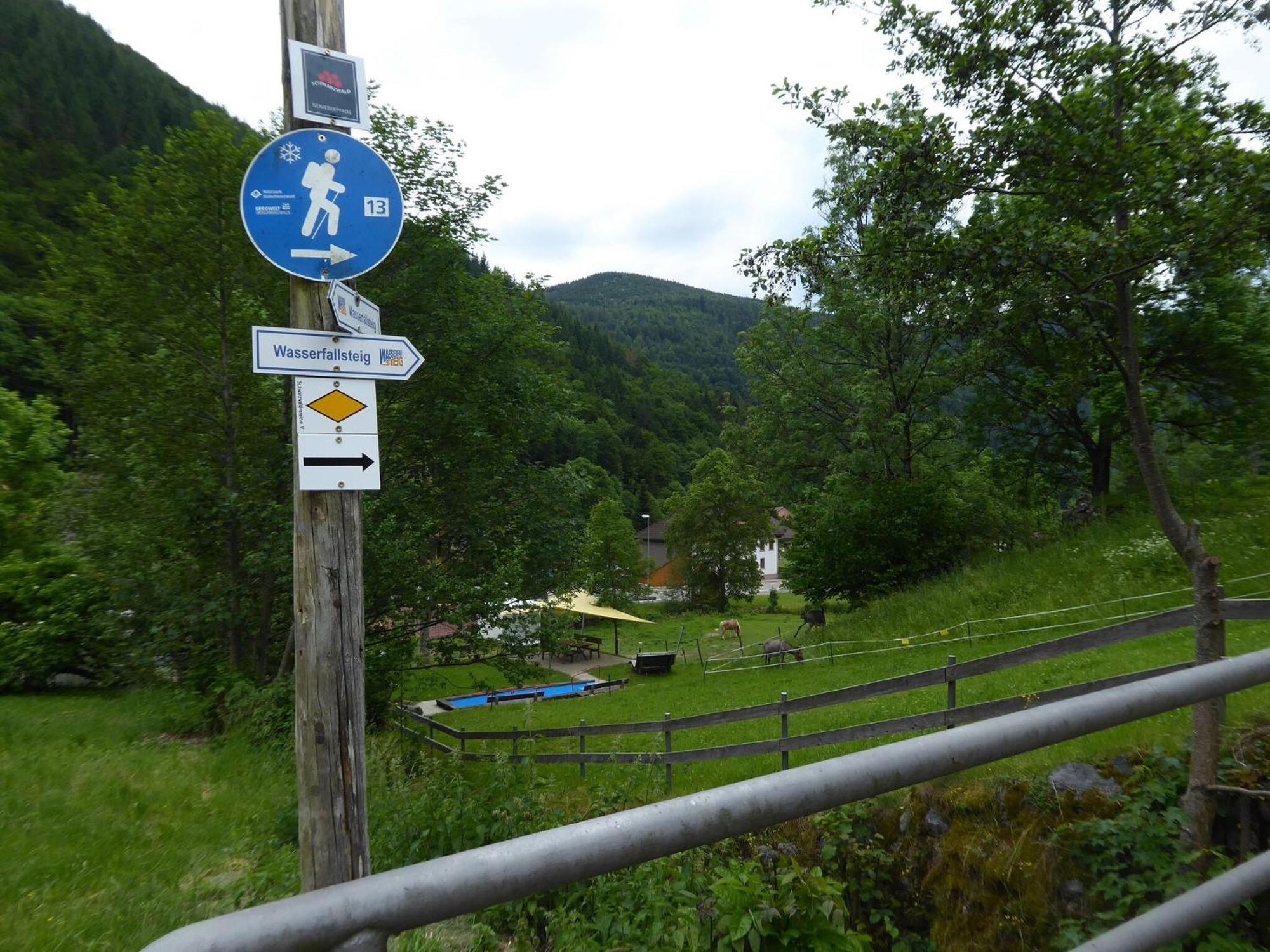 In Brandenberg With Terrace Apartment Todtnau