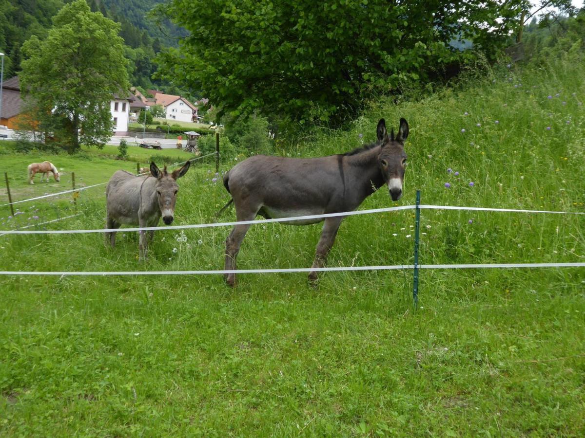 In Brandenberg With Terrace Apartment *